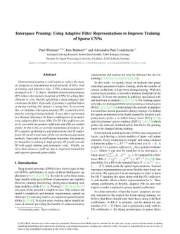 Interspace Pruning: Using Adaptive Filter Representations to Improve
  Training of Sparse CNNs