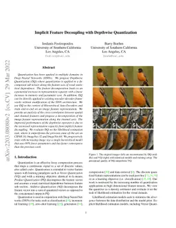 Implicit Feature Decoupling with Depthwise Quantization