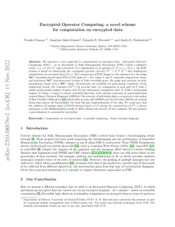 Encrypted Operator Computing: a novel scheme for computation on
  encrypted data