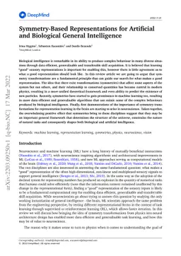 Symmetry-Based Representations for Artificial and Biological General
  Intelligence