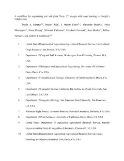 A workflow for segmenting soil and plant X-ray CT images with deep
  learning in Googles Colaboratory