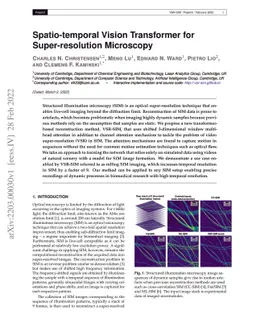 Spatio-temporal Vision Transformer for Super-resolution Microscopy