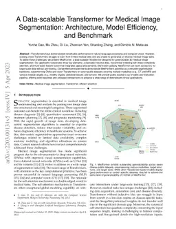 A Data-scalable Transformer for Medical Image Segmentation:
  Architecture, Model Efficiency, and Benchmark