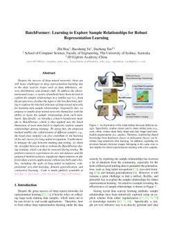 BatchFormer: Learning to Explore Sample Relationships for Robust
  Representation Learning