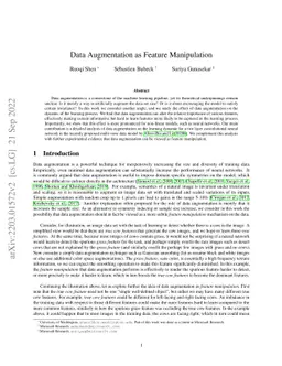 Data Augmentation as Feature Manipulation
