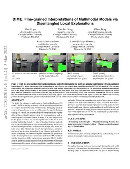 DIME: Fine-grained Interpretations of Multimodal Models via Disentangled
  Local Explanations