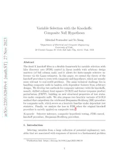 Variable Selection with the Knockoffs: Composite Null Hypotheses