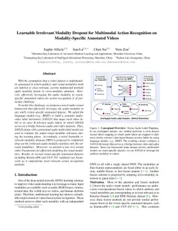 Learnable Irrelevant Modality Dropout for Multimodal Action Recognition
  on Modality-Specific Annotated Videos