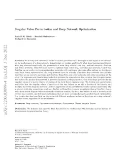Singular Value Perturbation and Deep Network Optimization