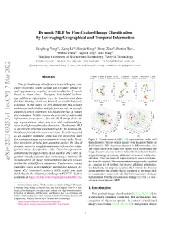 Dynamic MLP for Fine-Grained Image Classification by Leveraging
  Geographical and Temporal Information