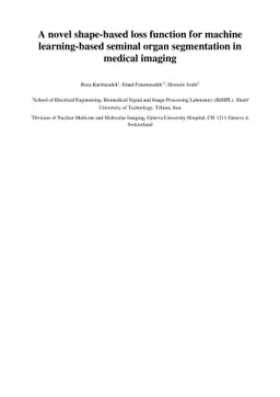 A novel shape-based loss function for machine learning-based seminal
  organ segmentation in medical imaging