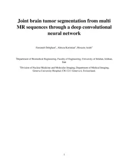 Joint brain tumor segmentation from multi MR sequences through a deep
  convolutional neural network