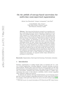 On the pitfalls of entropy-based uncertainty for multi-class
  semi-supervised segmentation