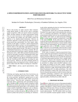 A Speech Representation Anonymization Framework via Selective Noise
  Perturbation