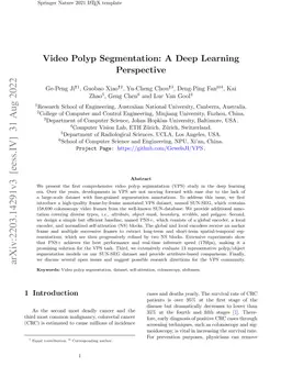 Video Polyp Segmentation: A Deep Learning Perspective