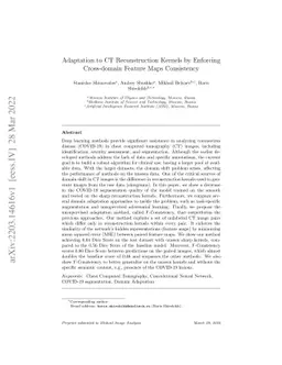 Adaptation to CT Reconstruction Kernels by Enforcing Cross-domain
  Feature Maps Consistency