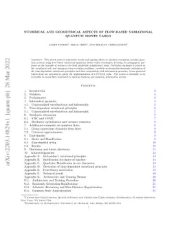 Numerical and geometrical aspects of flow-based variational quantum
  Monte Carlo