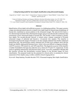 A deep learning model for burn depth classification using ultrasound
  imaging