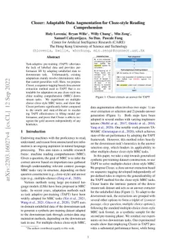 Clozer: Adaptable Data Augmentation for Cloze-style Reading
  Comprehension