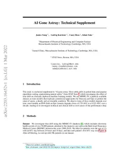 AI Gone Astray: Technical Supplement
