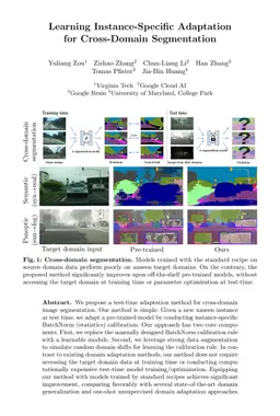 Learning Instance-Specific Adaptation for Cross-Domain Segmentation
