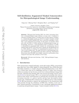 Self-distillation Augmented Masked Autoencoders for Histopathological
  Image Classification