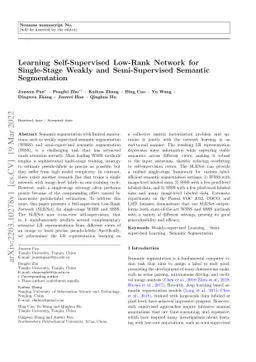 Learning Self-Supervised Low-Rank Network for Single-Stage Weakly and
  Semi-Supervised Semantic Segmentation