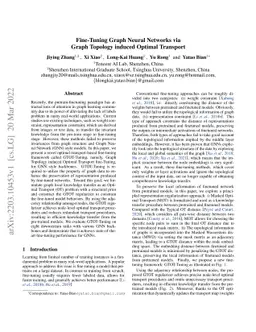 Fine-Tuning Graph Neural Networks via Graph Topology induced Optimal
  Transport