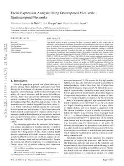 Facial Expression Analysis Using Decomposed Multiscale Spatiotemporal
  Networks