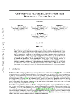 On Supervised Feature Selection from High Dimensional Feature Spaces