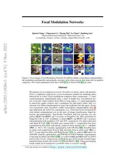 Focal Modulation Networks