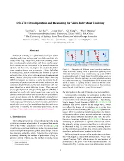 DR.VIC: Decomposition and Reasoning for Video Individual Counting