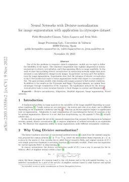 Neural Networks with Divisive normalization for image segmentation with
  application in cityscapes dataset