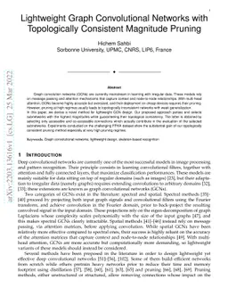 Lightweight Graph Convolutional Networks with Topologically Consistent
  Magnitude Pruning