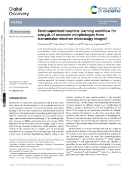 Semi-supervised machine learning model for analysis of nanowire
  morphologies from transmission electron microscopy images