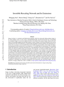 Invertible Rescaling Network and Its Extensions