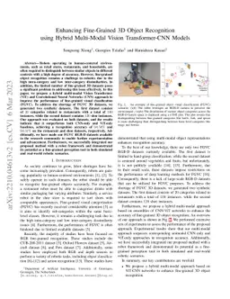 Enhancing Fine-Grained 3D Object Recognition using Hybrid Multi-Modal
  Vision Transformer-CNN Models