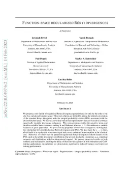 Function-space regularized Rényi divergences