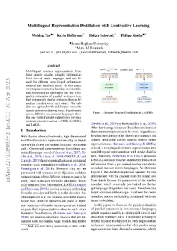 Multilingual Representation Distillation with Contrastive Learning