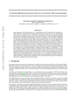Curved Representation Space of Vision Transformers