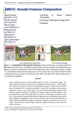 AMICO: Amodal Instance Composition