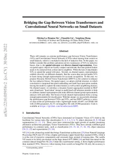 Bridging the Gap Between Vision Transformers and Convolutional Neural
  Networks on Small Datasets