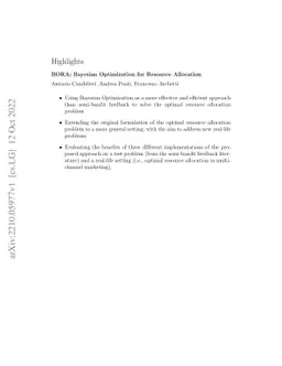 BORA: Bayesian Optimization for Resource Allocation