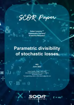 Parametric divisibility of stochastic losses