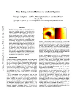 fAux: Testing Individual Fairness via Gradient Alignment