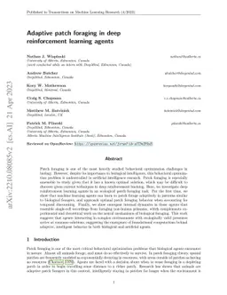 Adaptive patch foraging in deep reinforcement learning agents