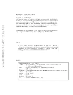Budget-Aware Pruning for Multi-Domain Learning