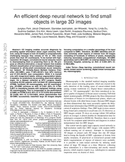 An efficient deep neural network to find small objects in large 3D
  images