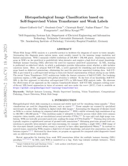 Histopathological Image Classification based on Self-Supervised Vision
  Transformer and Weak Labels