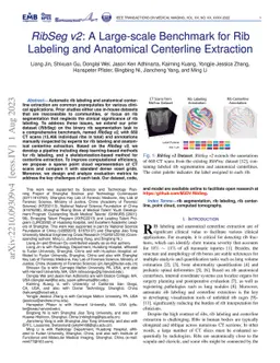 RibSeg v2: A Large-scale Benchmark for Rib Labeling and Anatomical
  Centerline Extraction